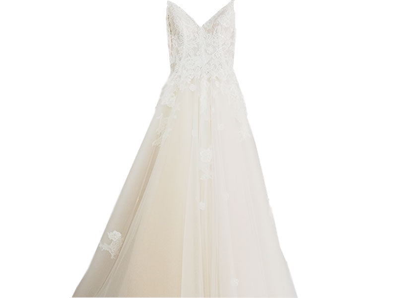 Gelinlik ve Abiye Temizleme